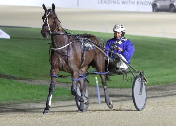 Royally bred filly upsets at Addington