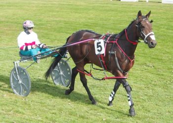 Gutsell has entire team for hometown meet