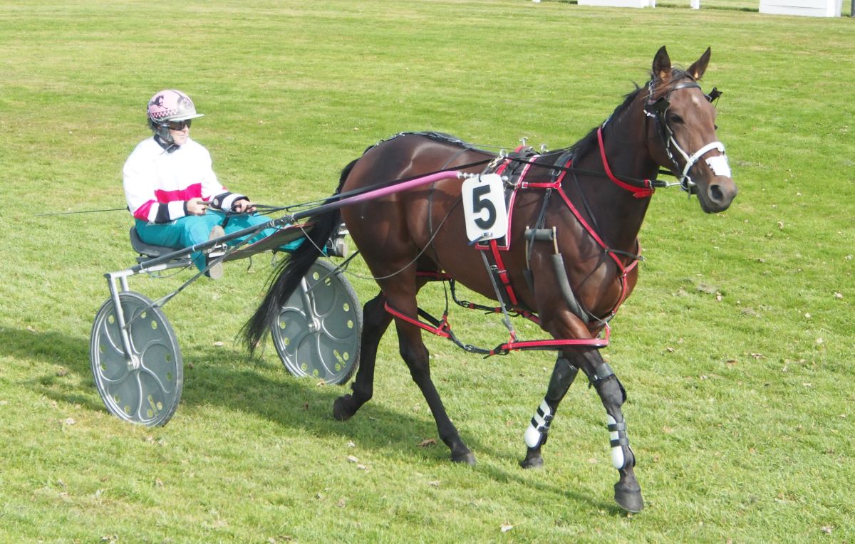 Gutsell has entire team for hometown meet 4