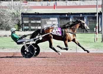Simpson Memorial concludes with longshot surprises