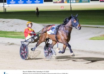Jilliby Ballerini lead them a merry dance in Aust Trotters Championship