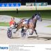 Jilliby Ballerini lead them a merry dance in Aust Trotters Championship