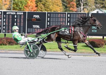 Joey Joe extends streak to four