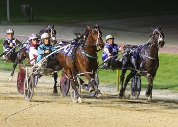 Huge win by Jumal in Harness Million