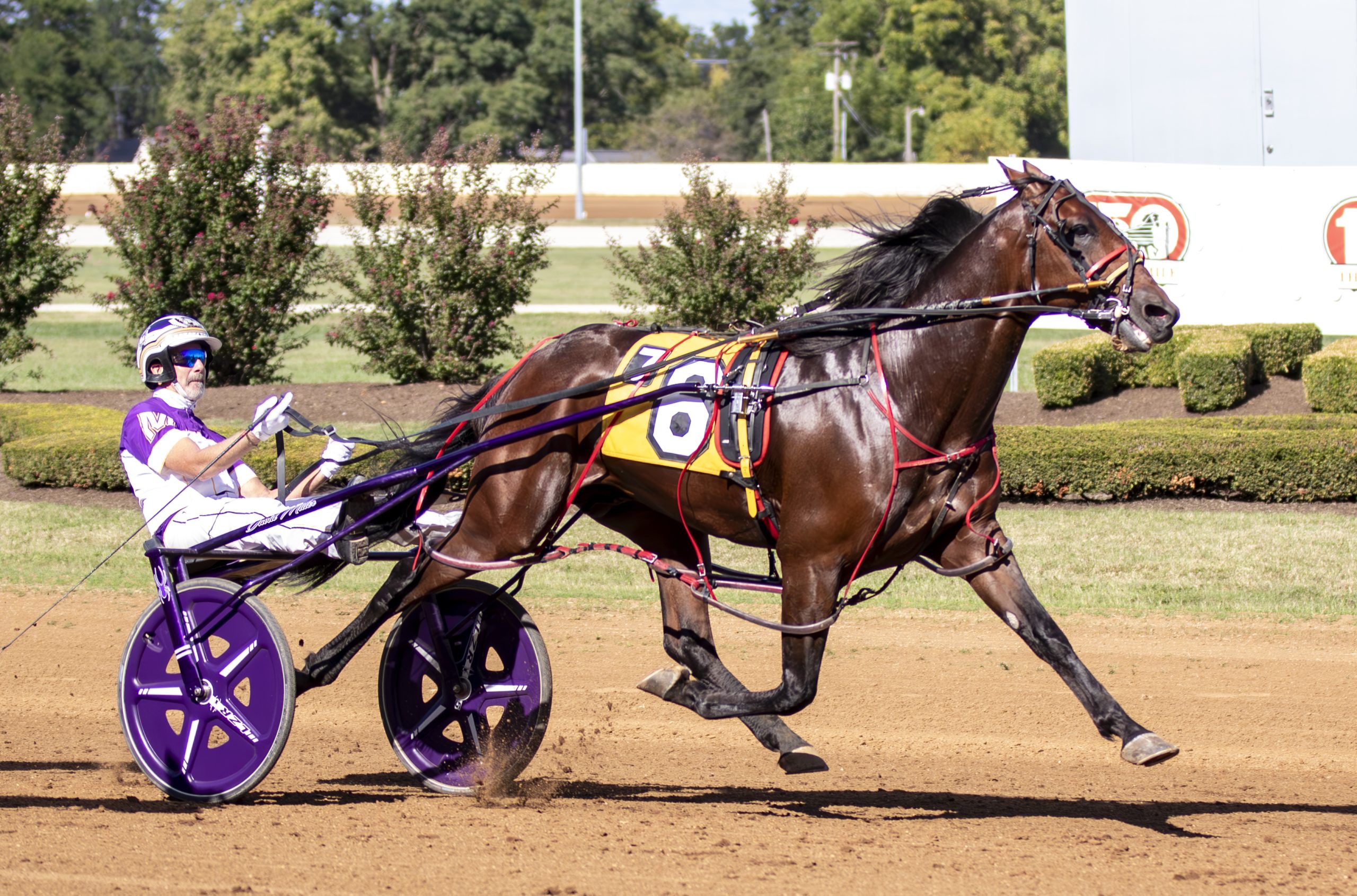 Periculum, Twin B Joe Fresh set track records in Allerage 4