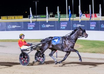 Saturday harness racing best bets