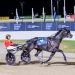 Saturday harness racing best bets