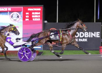Captaintreacherous sons star in Breeders Crown Elims