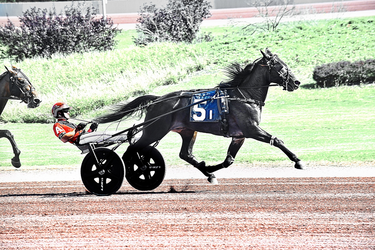 Kierkegaard K, Captain Moore A winners in the spotlight 1