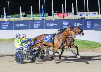 Kingman comes of age in stunning Victoria Cup win