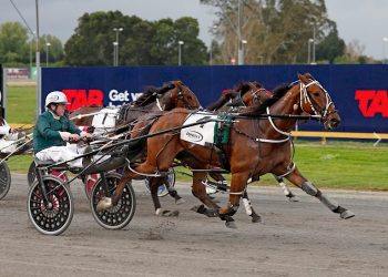 Lincoln Farms looking to double up with smart pacer