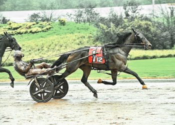 Lionheart Hanover completes rare fair grand slam