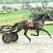Lionheart Hanover completes rare fair grand slam 2 Lionheart Hanover completes rare fair grand slam
