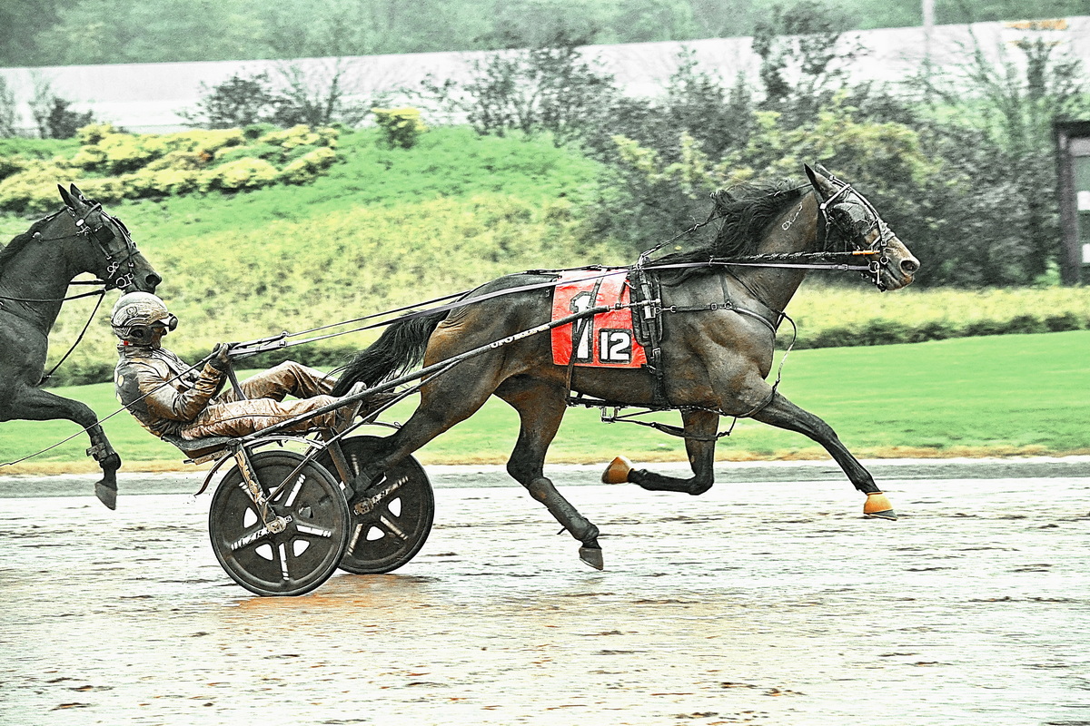 Lionheart Hanover completes rare fair grand slam 1