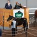 London Classic Yearling continues live