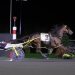 New track, stakes, and Canadian record in Breeders Crown 2 New track, stakes, and Canadian record in Breeders Crown
