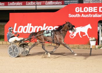 Miki To Success too strong in South Australia Pacing Cup
