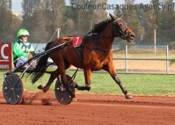 Macao Mip makes an impression