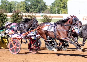 Miller, Ryder aim for father-son Breeders Crown magic