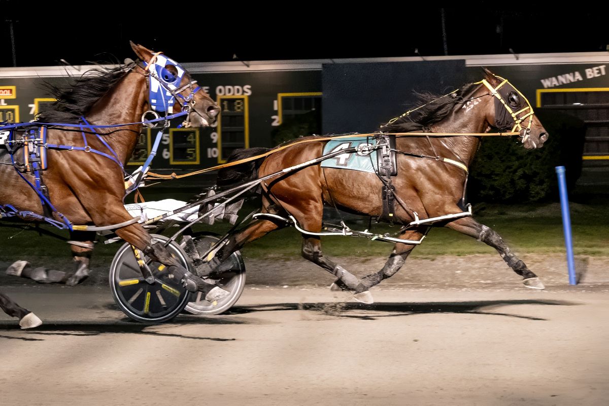 Off the pace winners standout in Opens 1