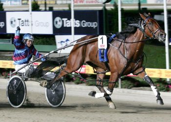 Melpark Major’s memorable Victoria Cup triumph