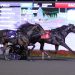 62-1 blowout in 3-Year-Old C&G Breeders Crown Trot