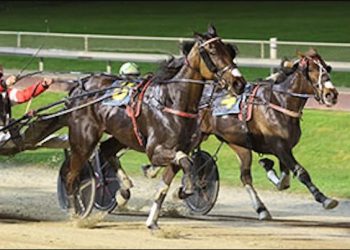Mighty Logan leads Diamond Racing quinella in Worthy Queen Trot