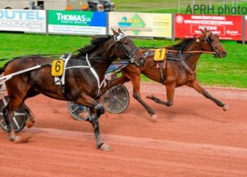 Chauve-Laffay stable stars align in Feurs