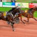 Chauve-Laffay stable stars align in Feurs