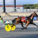 Tetrick sweeps DSBF Elims with He’s Watching fillies 2