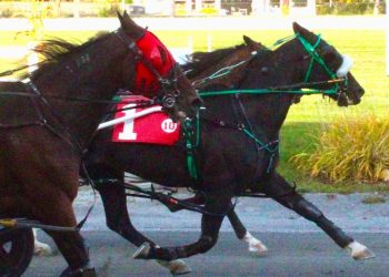 ‘Double Digit Dave’ Ingraham eyes 8,000 career wins