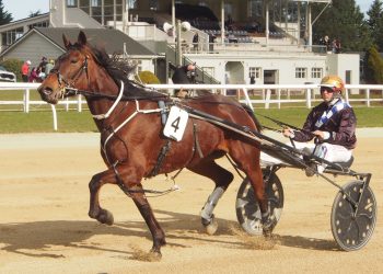 Williamson says it’s mission impossible for Empire City