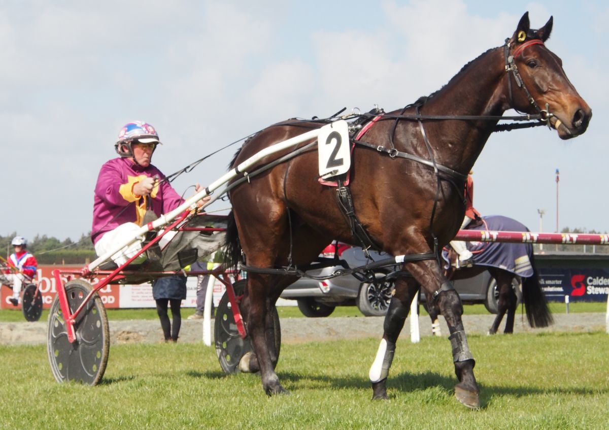 Joe too good on debut 2