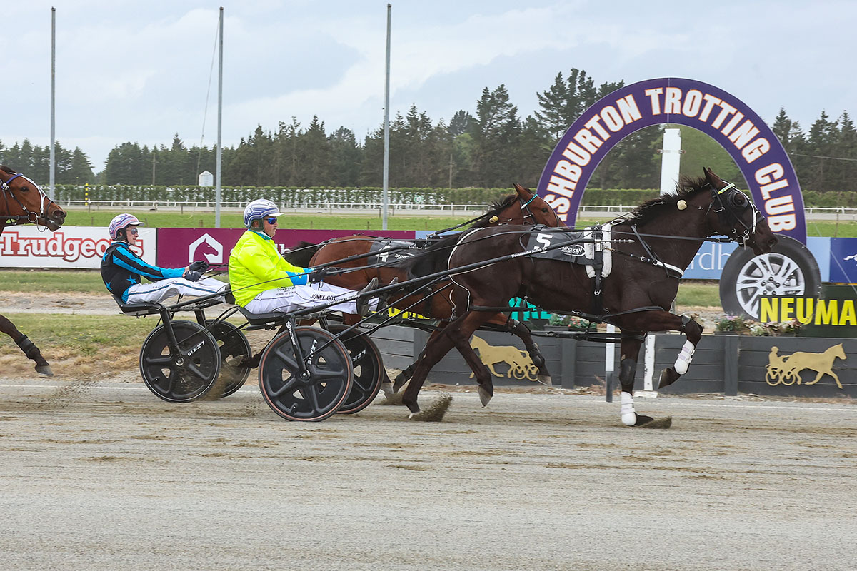 Ashburton undercard in review 13