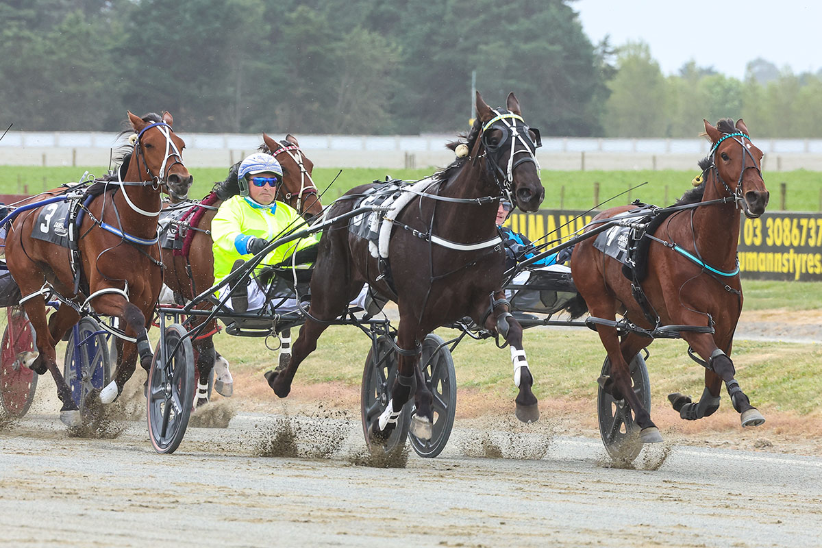 Ashburton undercard in review 12