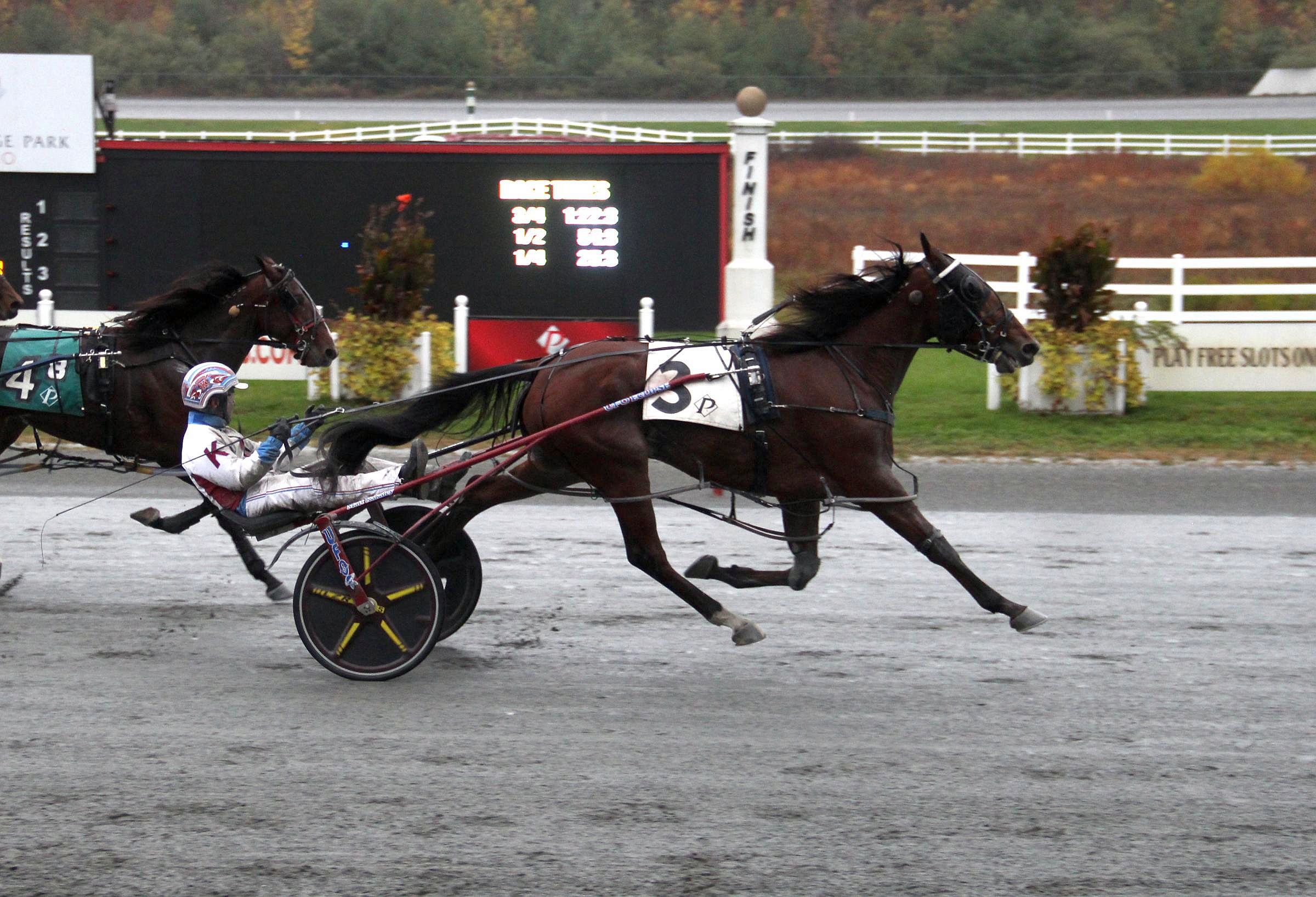 Eight champions crowned on $1.2 million Massachusetts Breeders Stakes day 8