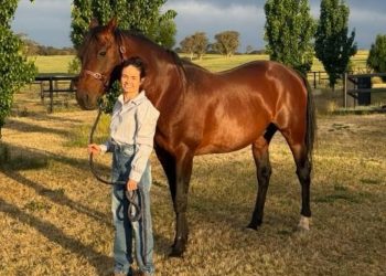 Raging Bull ready for fresh start in NSW