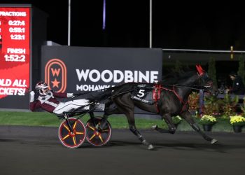 Fairy-tale win in $700,000 Breeders Crown