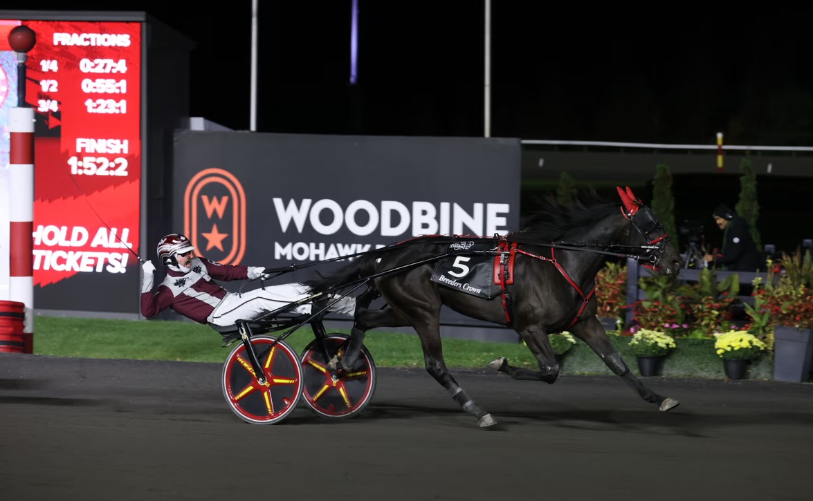 Fairy-tale win in $700,000 Breeders Crown 1