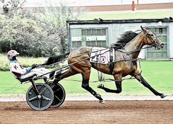 Greenshoe gelding overcomes early break to win