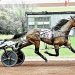 Greenshoe gelding overcomes early break to win