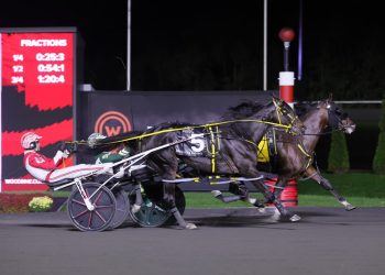 Sippinonsearoc storms home for redemption in $600,000 final