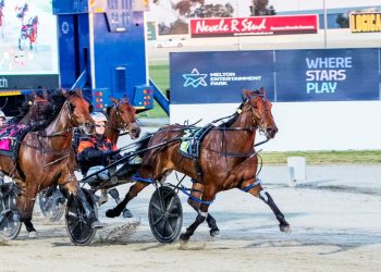 Melton’s big night pays dividends for everyone in Harness Racing