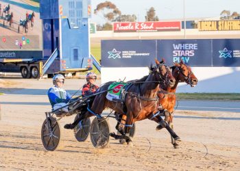 Soho Park Avenue shines in Shakamaker Classic