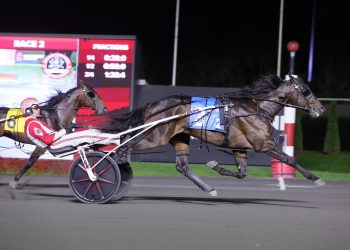 Breeders Crown elims for freshman male trotters run and won