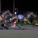 Son of Chapter Seven seizes Breeders Crown colt trot