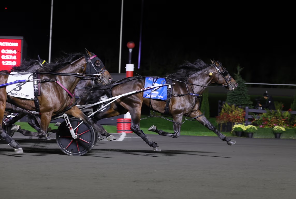 Son of Chapter Seven seizes Breeders Crown colt trot 1
