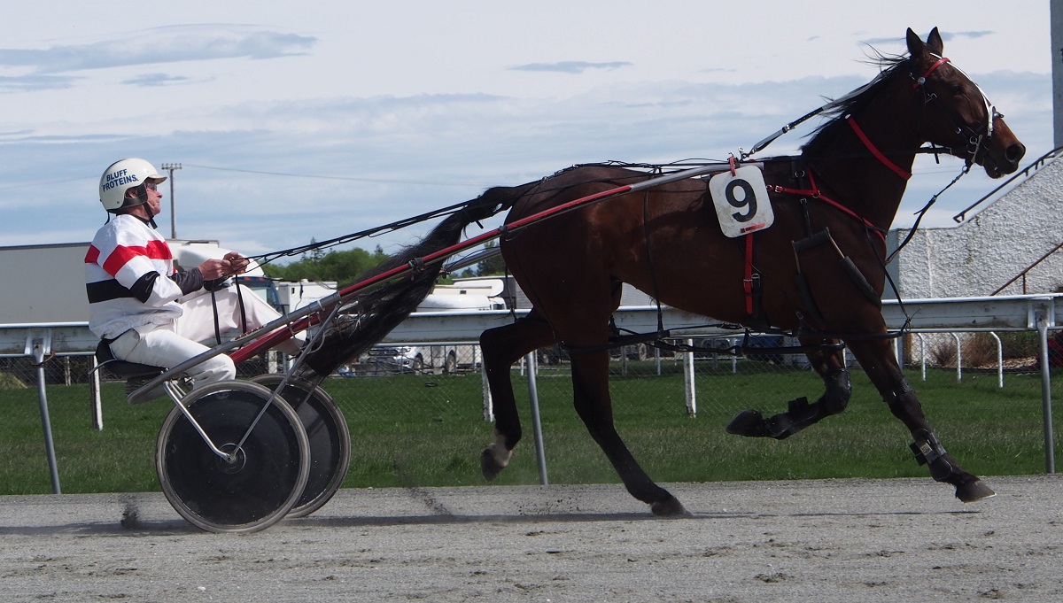 Gutsell has entire team for hometown meet 2