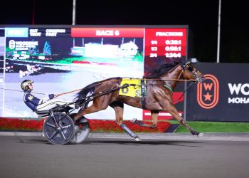 Stormont Beautiful supplemented to Breeders Crown
