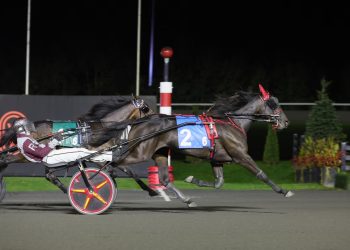 Storybook Love shocks in Breeders Crown elimination
